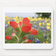Texas Wildflowers Mouse Pad