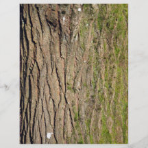 Texture en bois moussue verte prospectus en couleur