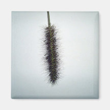 Texture of Dry Hay Refrigerator Magnet