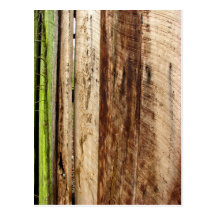 Texture Post Cards