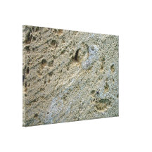 Texture sciée de détail de bloc de chaux toiles tendues