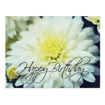 Textured Chrysanthemum Happy Birthday Postcard