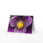 TGK PURPLE CROCUS CARD