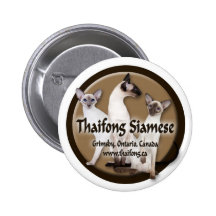 Thaifong Cage Sign 2 Pinback Buttons