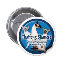 Thaifong Cage Sign Pins