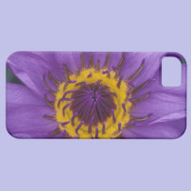 Thailand, Bangkok, Purple and yellow lotus casemate cases