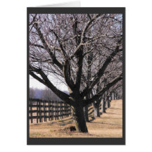 Thank our Veterans 6 Greeting Cards