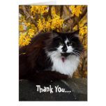 Thank You Autumn Cat greeting card