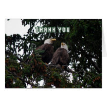 Thank You, Bald Eagles Card