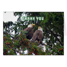 Thank You, Bald Eagles Card