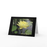 Thank You - Beautiful Water Lily cards