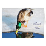 Thank you bird greeting card cards