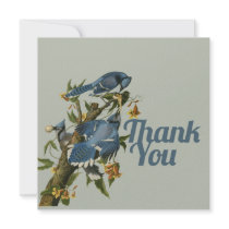 Thank you blue birds personalized announcement