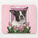 Thank You - Boston & Rat Terrier - Jazy