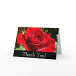 Thank You Bright Red Rose Card
