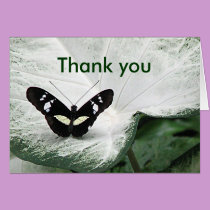 Thank you Butterfly cards