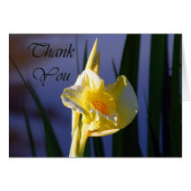 Thank You - Canna Cards