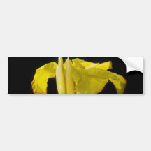 Thank You - Cannas Bumper Sticker