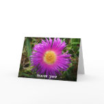 THANK YOU CARDS