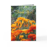 Thank You Card