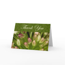 Thank You Cards