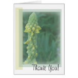 Thank You Card