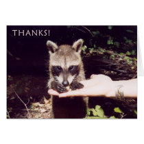 Thank-you card cards