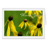 Thank You Card cards