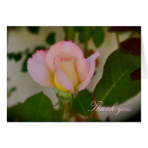Thank you card
