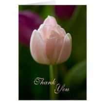 Thank You Card
