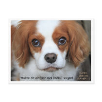 Thank you card - Dankeskarte Cavalier Charly Postkarten