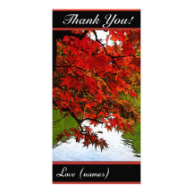 Thank You Card Pack of 10 - Autumn Scene Custom Photo Card