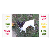 Thank You Card Photo Greeting Card