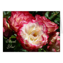 Thank You! Card Pink White Rose Flowers Custom