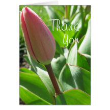 Thank you card- Tulip