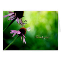 Thank You Card With Butterfly