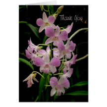 Thank You card with pink orchids