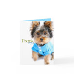 Thank You Card_Yorkie