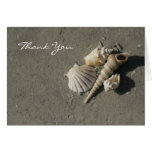 Thank You Cards Beach