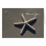 Thank You Cards Beach