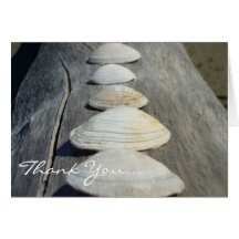 Thank You Clam Shells greeting card