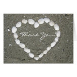 Thank You Clam Shells greeting card