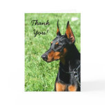 Thank You Doberman Pinscher greeting card