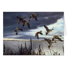 Thank You For Being An Awesome Father! Greeting Cards