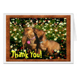 Thank You! From one Dachshund to another.......... Cards