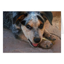 Thank you from the Heart - Dog Lover Card