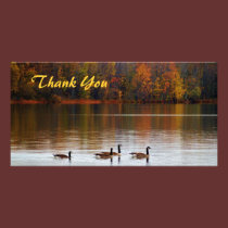 Thank You Geese Photo Card photo cards