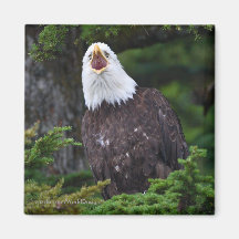 Thank You Gift Fridge Magnet