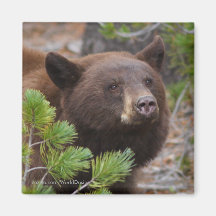 Thank You Gift Refrigerator Magnet