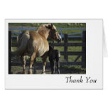 Thank You Greeting Cards